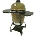 $700 charcoal grill
