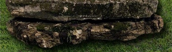 Weathered Limestone Ledge