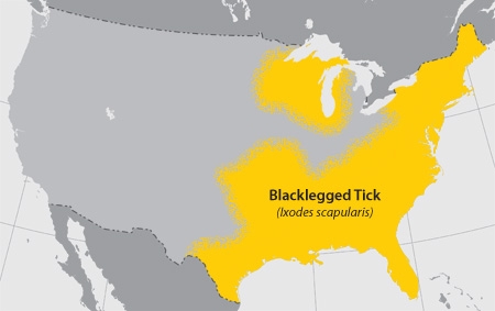 map of blacklegged tick habitat